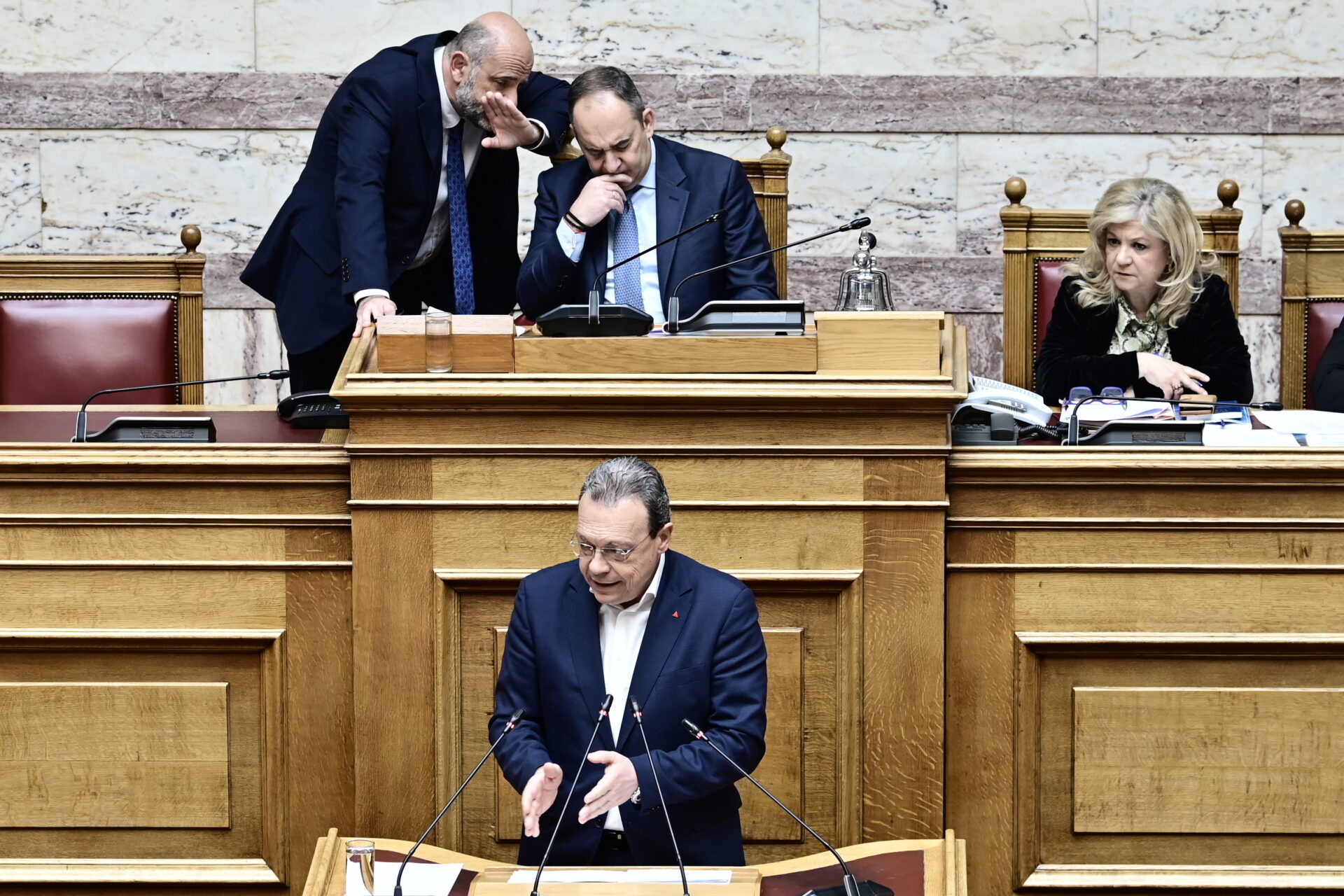 ΦΑΜΕΛΛΟΣ ΒΟΥΛΗ