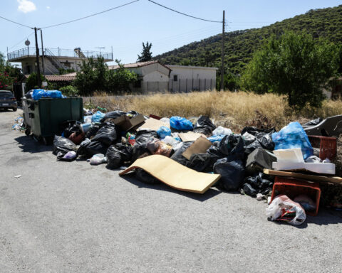 ΟΙΚΟΠΕΔΟ ΣΚΟΥΠΙΔΙΑ