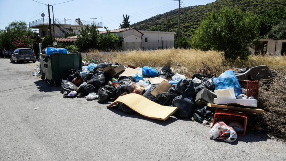 ΟΙΚΟΠΕΔΟ ΣΚΟΥΠΙΔΙΑ