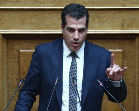 Θάνος Πλεύρης, παράνομη μετανάστευση