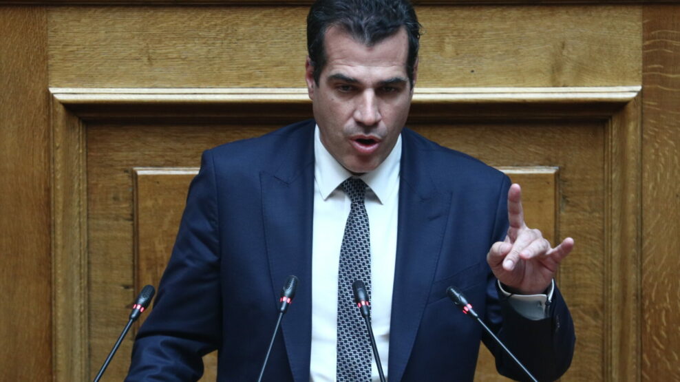 Θάνος Πλεύρης, παράνομη μετανάστευση