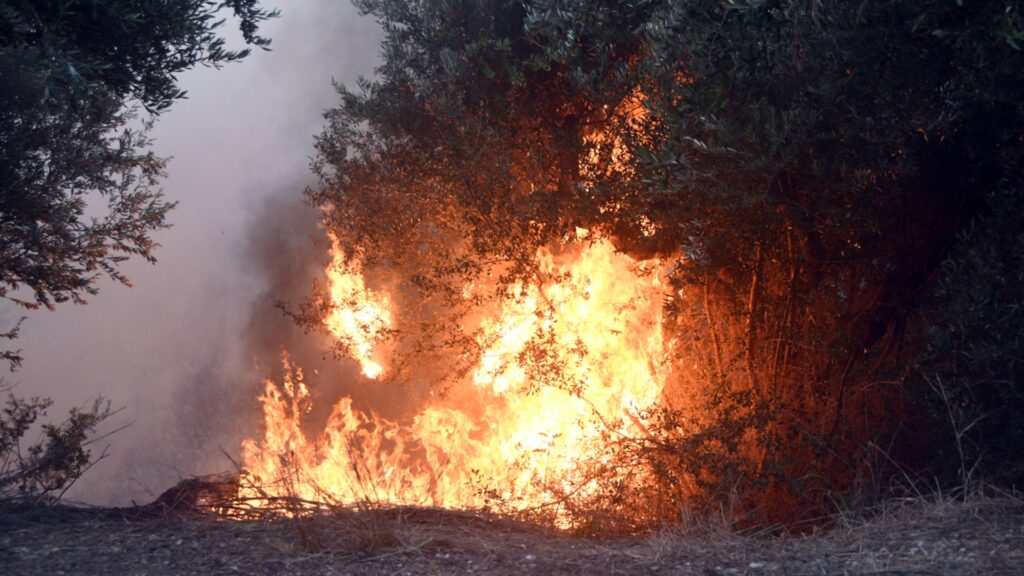 Μεγάλη φωτιά στην Οινόη Μάνδρας