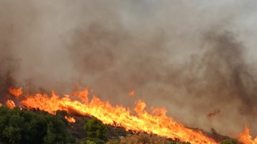 Προσωρινή στέγαση πυρόπληκτων