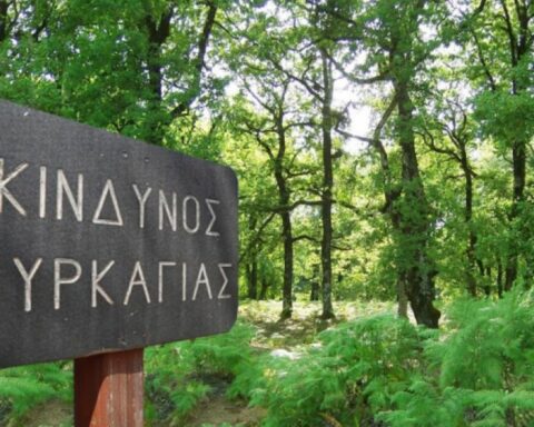 Συναγερμός