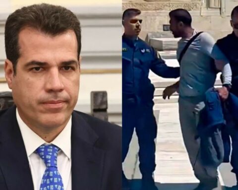 Πλεύρης