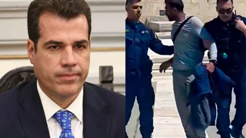 Πλεύρης