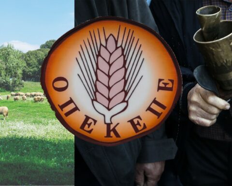 ΟΠΕΚΕΠΕ