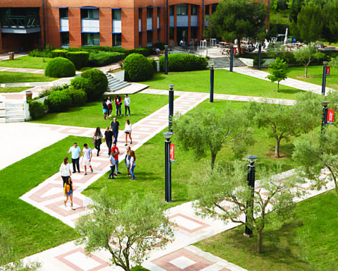 Anatolia American University