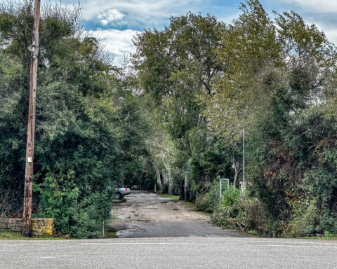 ΦΟΙΝΙΚΟΥΝΤΑ
