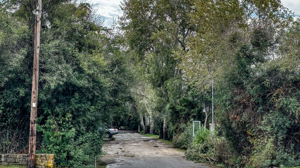 ΦΟΙΝΙΚΟΥΝΤΑ