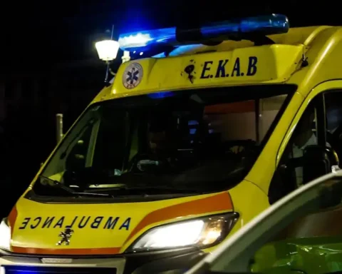 ξυλοδαρμός