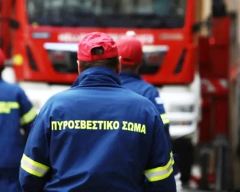 Κεφαλογιάννης: