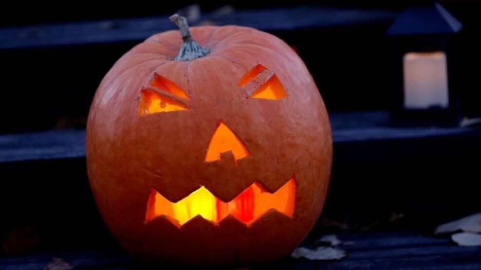 Οι Σάσεξ στο πνεύμα του Χάλογουιν