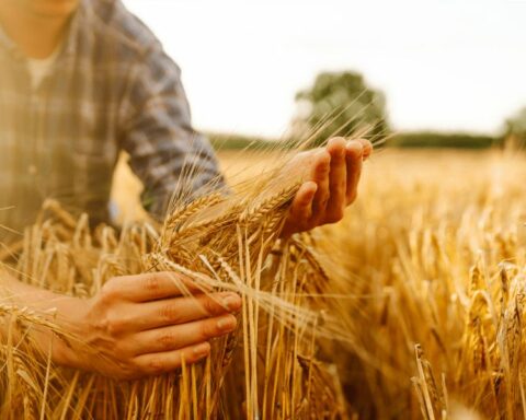 αγροτικές επιδοτήσεις