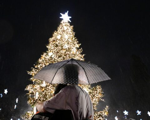 χριστουγεννιάτικο δέντρο