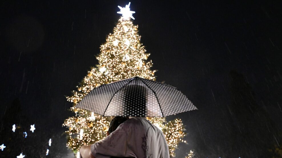 χριστουγεννιάτικο δέντρο