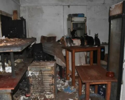 Δονούσα: Πρόστιμο 1,7 εκατ. ευρώ σε 63χρονο που βασάνιζε ζώα