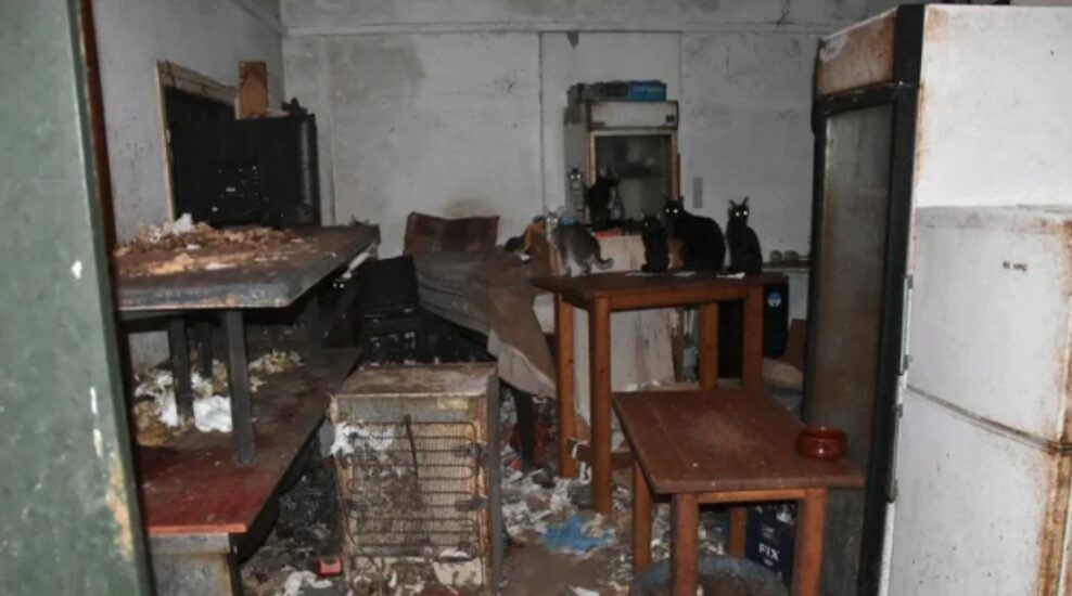 Δονούσα: Πρόστιμο 1,7 εκατ. ευρώ σε 63χρονο που βασάνιζε ζώα