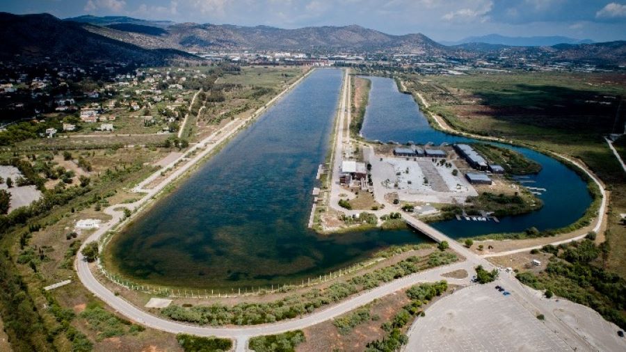 ΣΧΟΙΝΙΑΣ ΚΩΠΗΛΑΤΟΔΡΟΜΙΟ