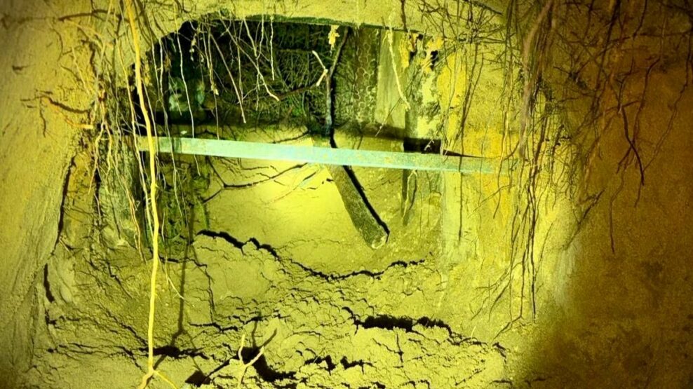 Πολωνία: Μετανάστες