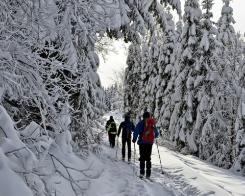 Κοινωνικός τουρισμός: