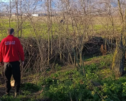 πυροσβέστης