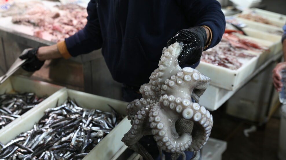 ΚΑΘΑΡΑ ΔΕΥΤΕΡΑ