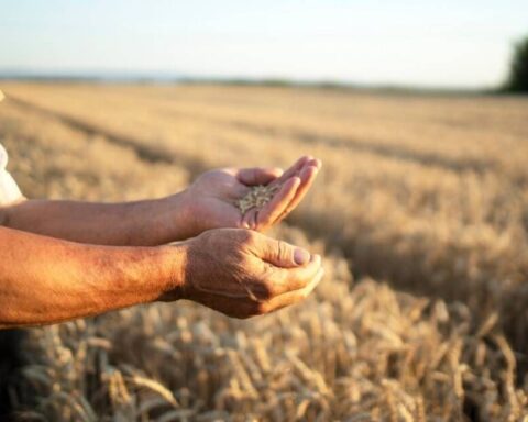 ΑΓΡΟΤΗΣ ΧΩΡΑΦΙ