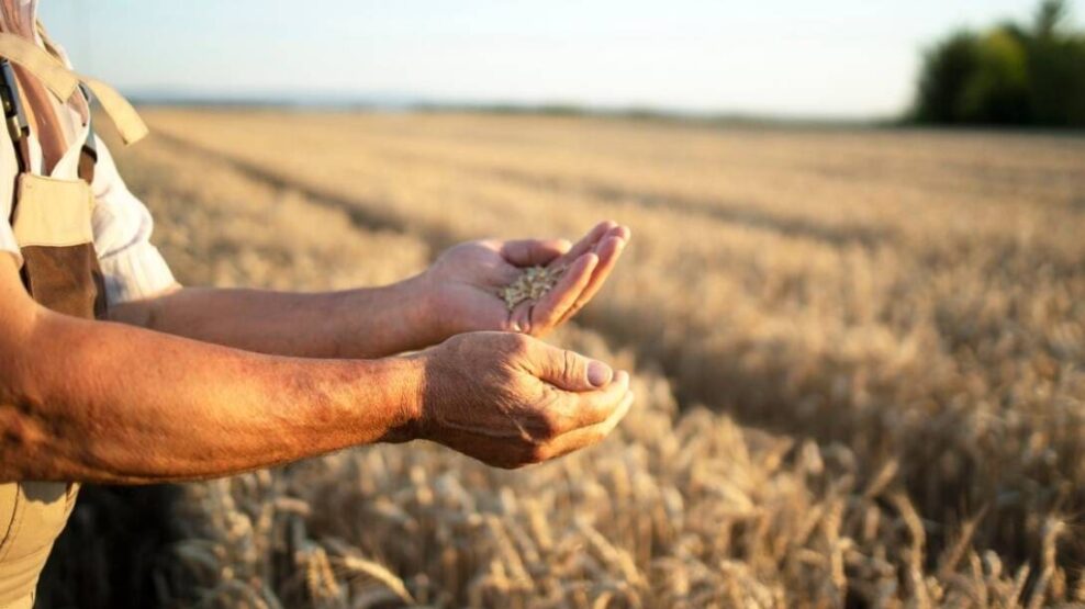 ΑΓΡΟΤΗΣ ΧΩΡΑΦΙ
