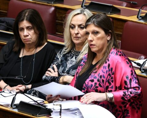 Πλεύρης Κωνσταντοπούλου