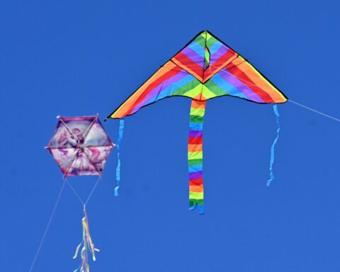 Τουρκοβούνια