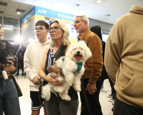 Επαναπατρίστηκαν 101 Έλληνες με τα 47 κατοικίδια τους