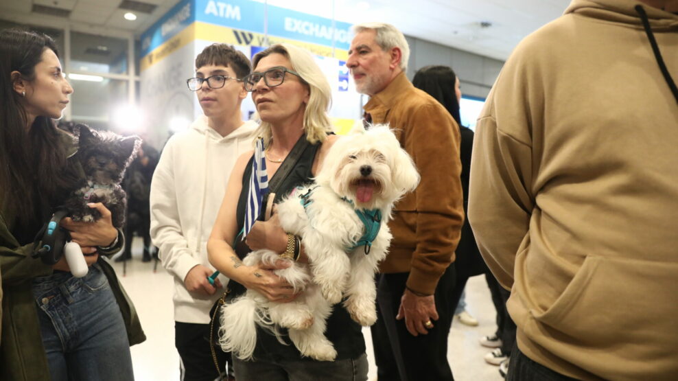 Επαναπατρίστηκαν 101 Έλληνες με τα 47 κατοικίδια τους