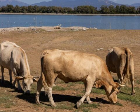 Σε κατάσταση έκτακτης ανάγκης η Λέσβος