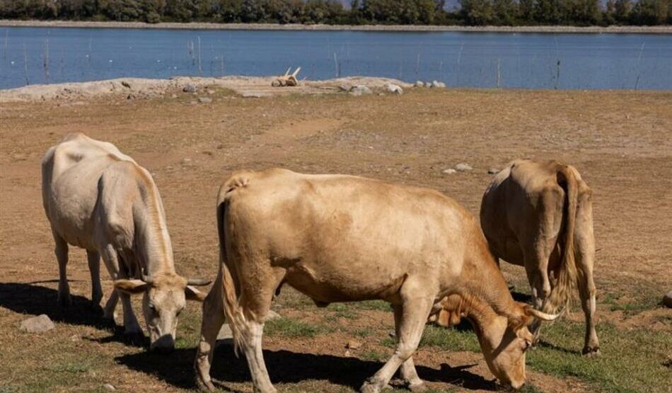 Σε κατάσταση έκτακτης ανάγκης η Λέσβος
