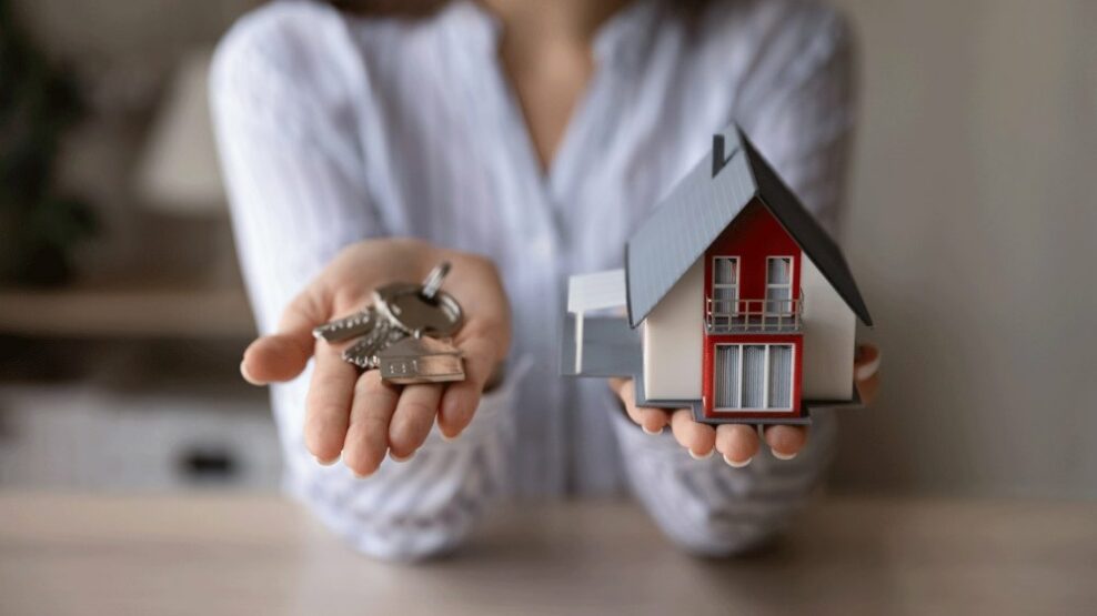 µεταβιβάσεις