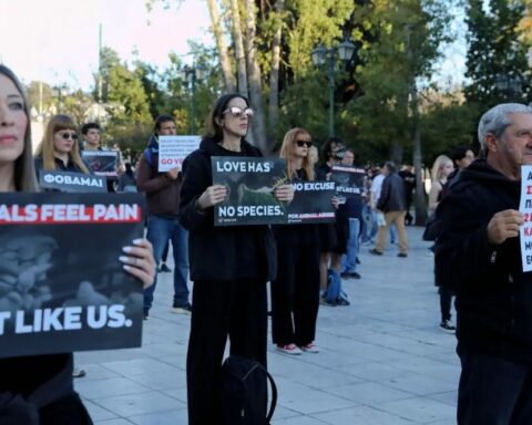 Διαμαρτυρία βίγκαν στο Σύνταγμα