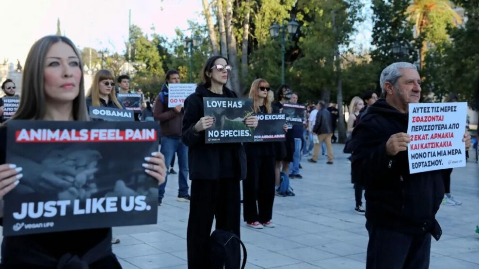 Διαμαρτυρία βίγκαν στο Σύνταγμα
