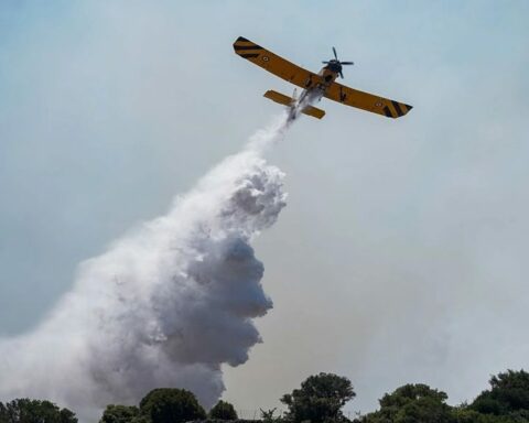 Φωτιά σε δάσος στο Νεοχώρι Μαγνησίας