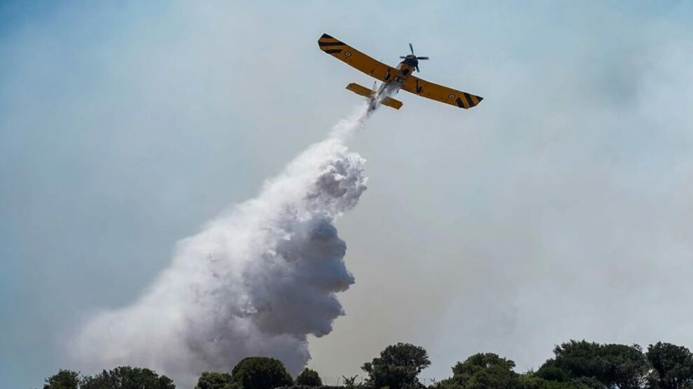 Φωτιά σε δάσος στο Νεοχώρι Μαγνησίας