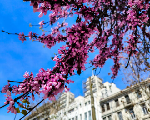 Με τι καιρό θα κάνουμε Πάσχα