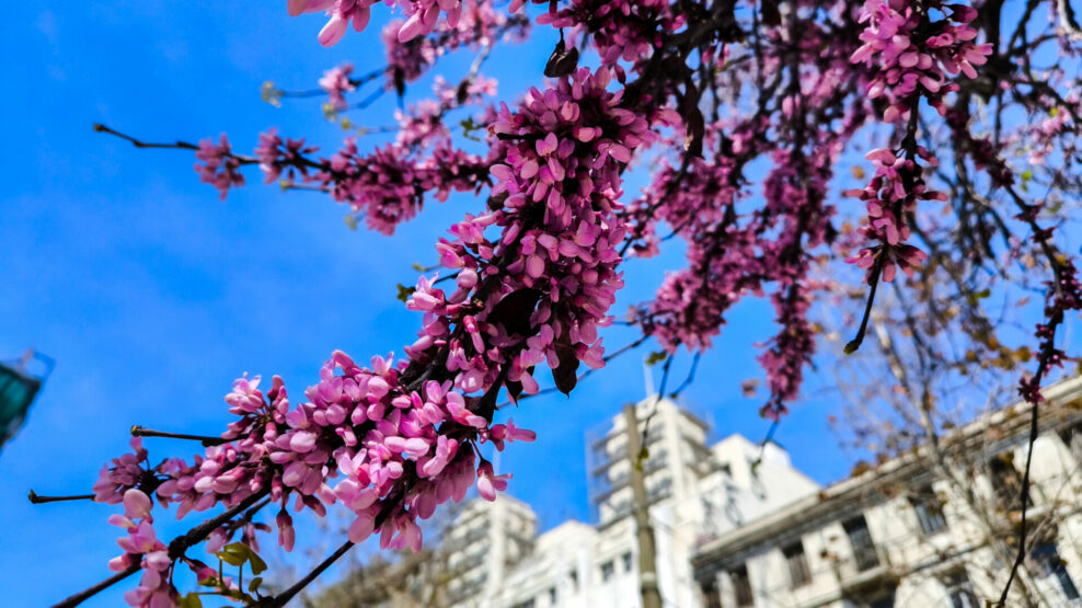 Με τι καιρό θα κάνουμε Πάσχα