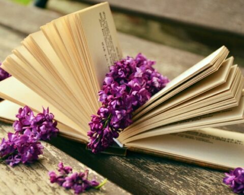 Περίπατος Βιβλίου: