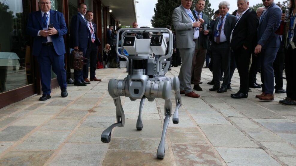 Σκύλος-ρομπότ