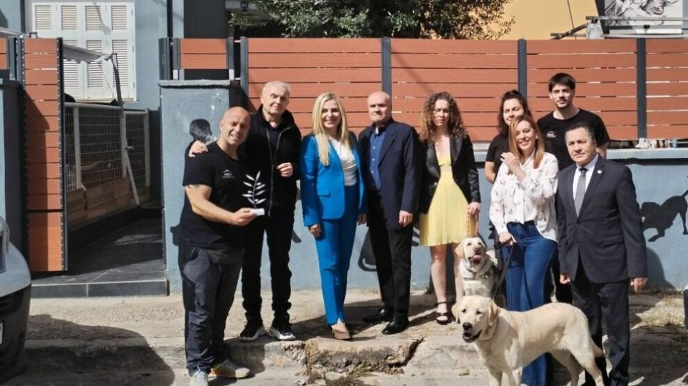ΝΔ: