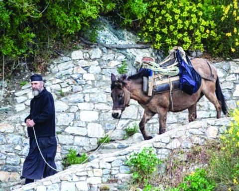 Ο θησαυρός της φύσης του Αγίου Όρους