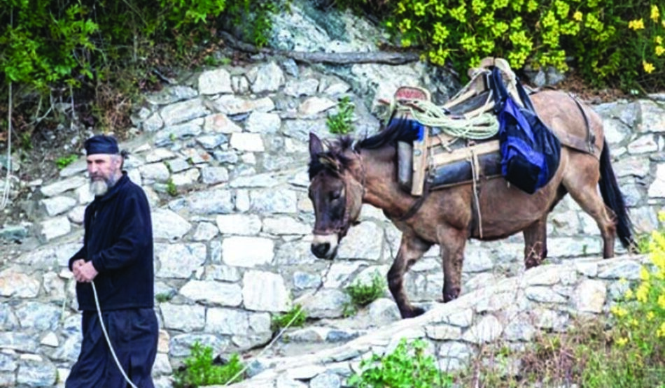 Ο θησαυρός της φύσης του Αγίου Όρους