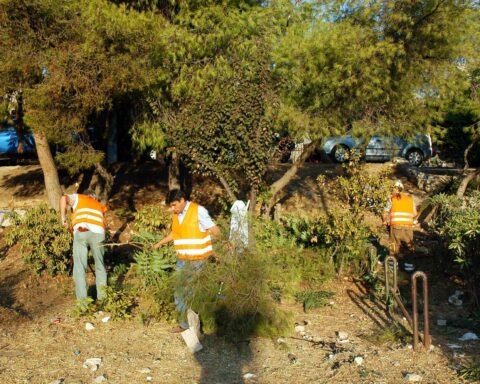 ακαθάριστα οικόπεδα