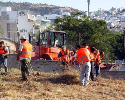 Καθαρισμός οικοπέδου