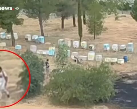 Άλσος Βεΐκου φωτιά
